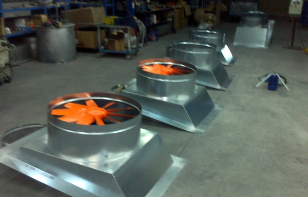 Extractores Dinámicos