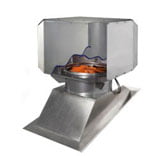 grupo_mixto_estatico_dinamico